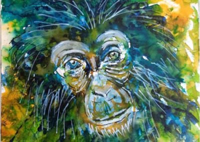 Titre : Petit chimpanzé / Matière : encre sur papier aquarelle / Format : 30x40