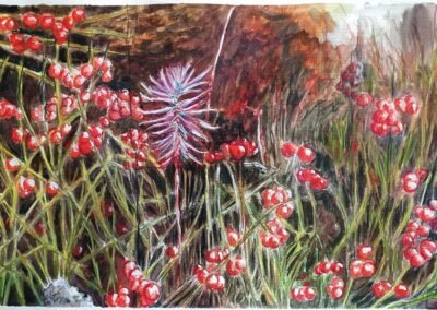 Aquarelle d'Isabelle Morin représentant des baies rouges et des plantes sauvages dans une dune du littoral charentais.